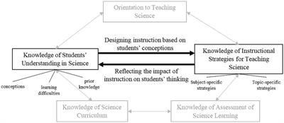 Findings from the expert-novice paradigm on differential response behavior among multiple-choice items of a pedagogical content knowledge test – implications for test development